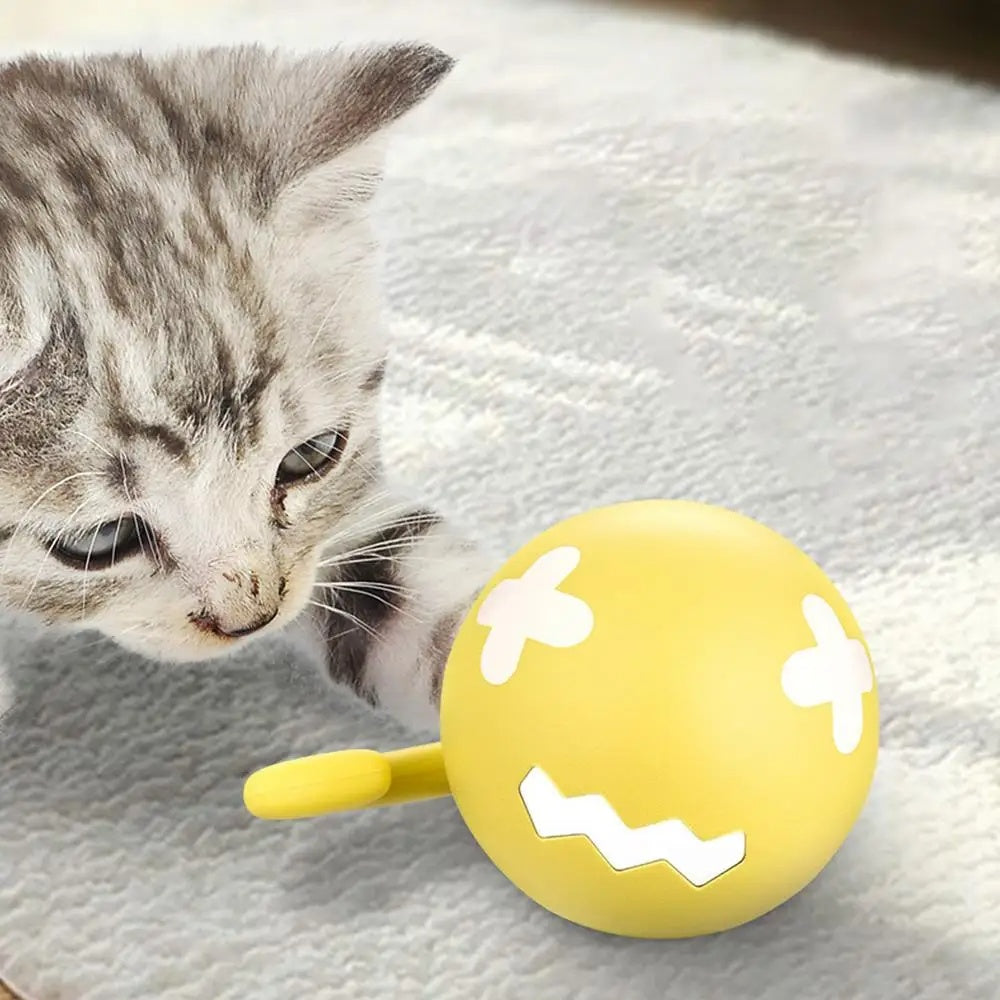 DenKind Wonder Ball smart self-rolling pet toy