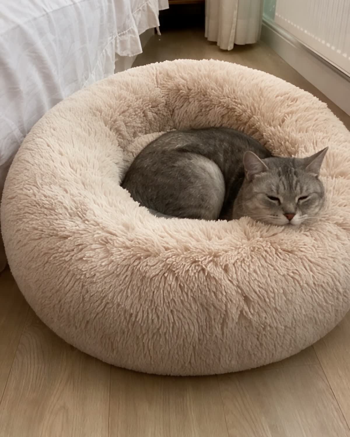 Grey cat curled in the oat DenKind Calm Bed on a bedroom floor