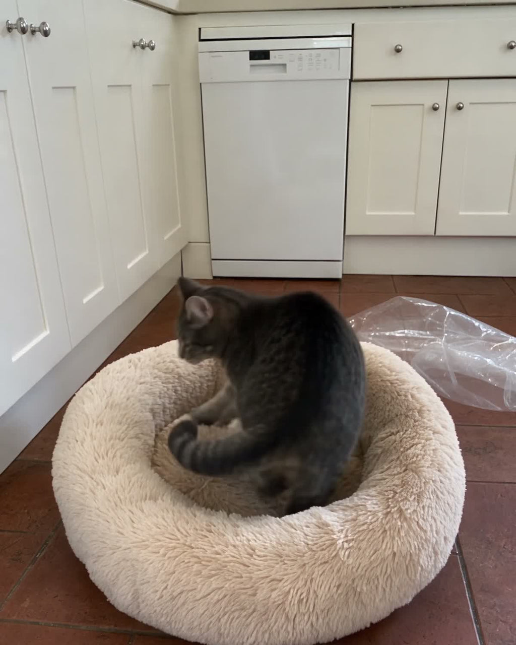 Cat settling into the oat DenKind Calm Bed on a kitchen floor