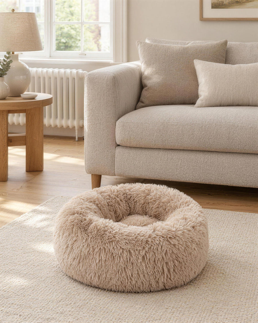 The oat Calm Bed on a rug in a living room