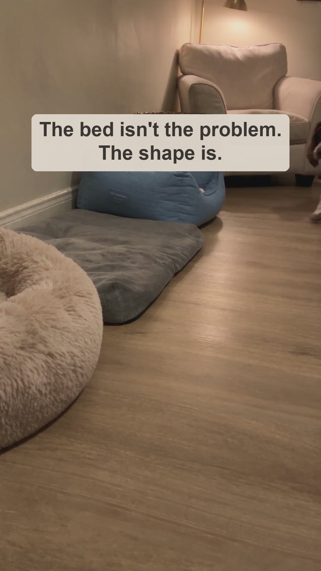 A dog circles past a flat mat and curls up in the oat DenKind Calm Bed (AI-generated scene)